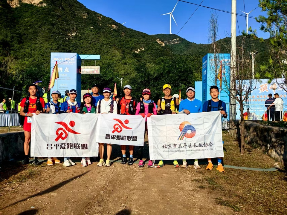 化活力, Yg 化活力, Yg